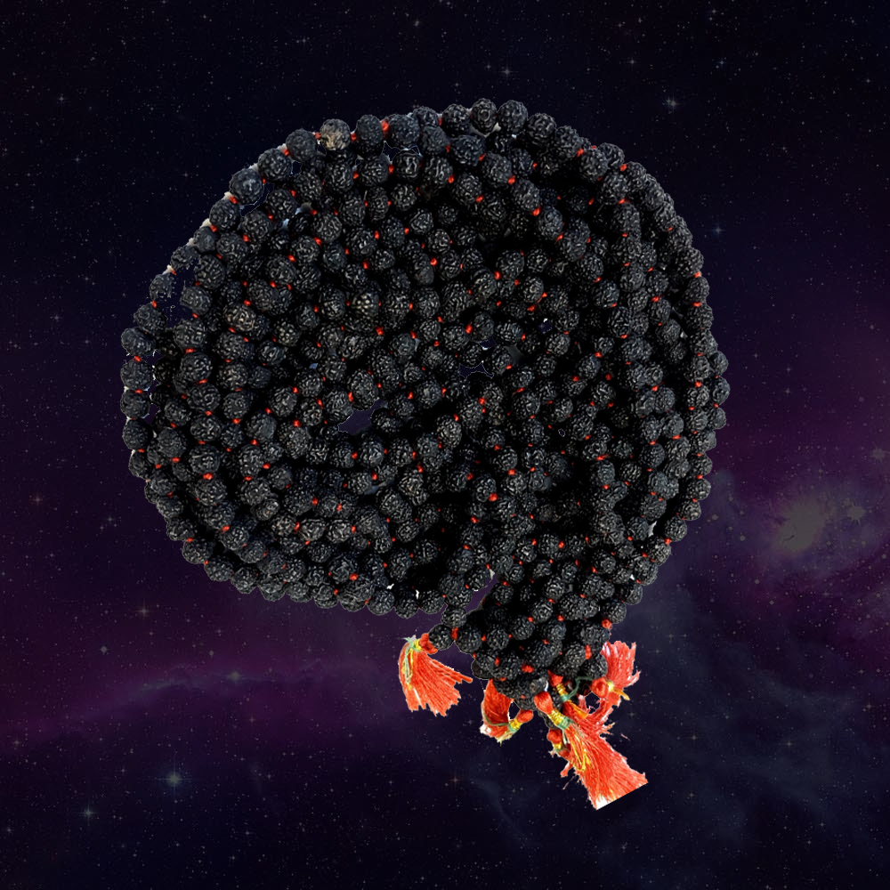 Black Rudraksh Mala